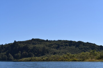 Forested shore along the Columbia River.