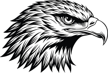 head of the eagle silhouette vector illustration