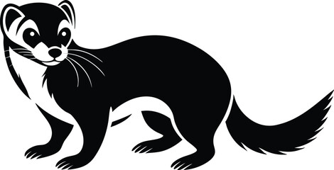 illustration of a ferret