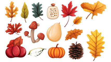 illustration, set of autumn objects, isolated on transparent background. Forest design element for poster, school, education. Tree leaves, mushroom, fruits, apples etc. Typical autumn colors.