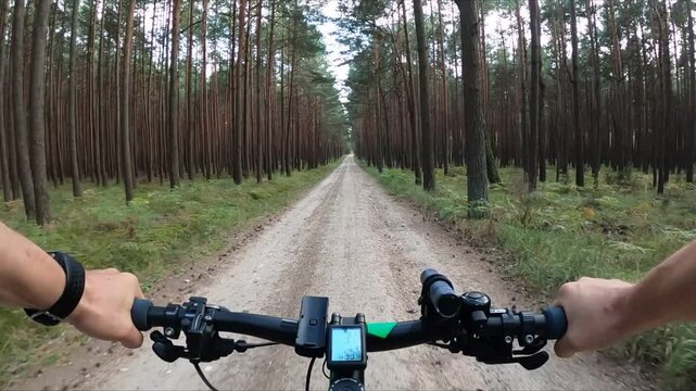 Cyclist rides on a forest road. Man on a mountain bike rides in the forest.