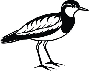lapwing silhouette vector illustration