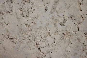 A Visually Textured Surface Featuring Distinctive Footprints and Various Markings