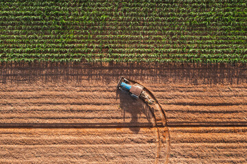 Aerial top view tractor plowing a field , preparing the land for a wheat planting operation.