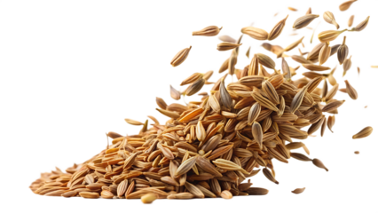 cumin flying on transparent background