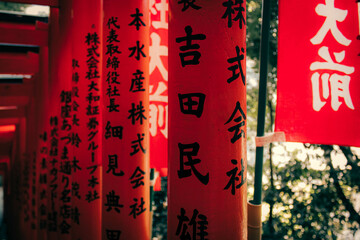 japanese Torii gates  in Tokyo