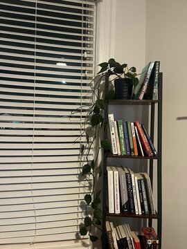 room with books