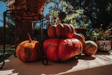 A Bountiful Autumn Day at the Farm