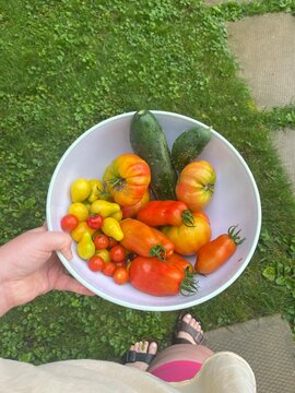 vegetables in a bowl