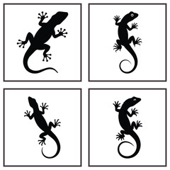 Lizards Vector of Reptile Species