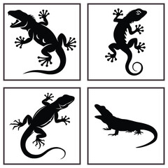 Lizards Vector of Reptile Species