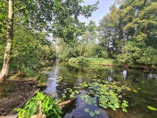 Wasser - und Waldwelt in Gosen, Brandenburg