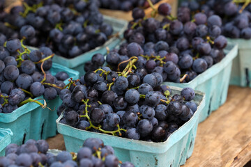 Farmers Market Fruits and Vegetables