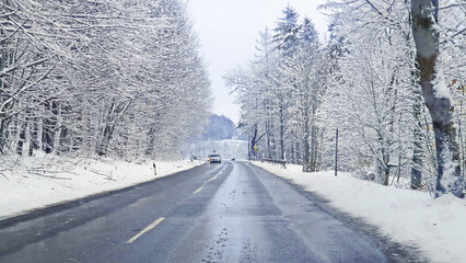 Trees with snow on spruce branches in winter forest.