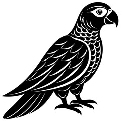 Fototapeta premium a parrot bird on a white background