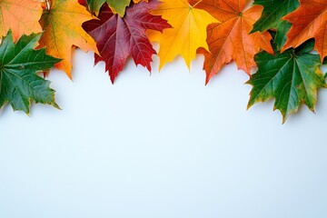Autumn Maple Leaves Flat Lay White Background created with Generative AI