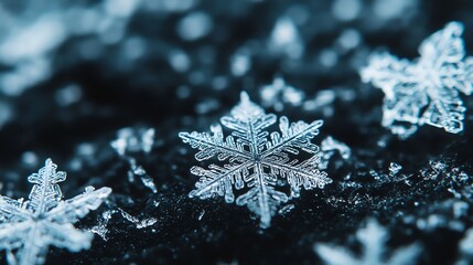 A single snowflake sits on a dark background, its delicate structure highlighted by the soft light.