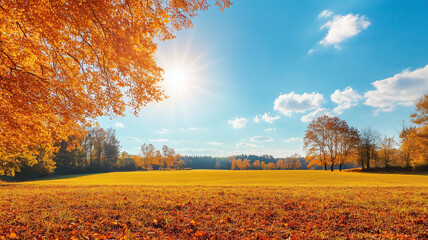 Wonderful landscape during autumn, sunny rural panoramic view. Countryside scenery. Typical autumn colors. Wonderful landscape during fall season, typical orange, brown automn colors. Tranquil scenery