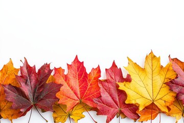 Fototapeta premium Autumn Maple Leaves Flat Lay White Background created with Generative AI