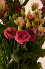 bouquet of pink and white eustoma closeup