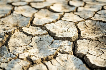 Fototapeta premium Dry, cracked soil. Effects of severe drought, climate change on the environment