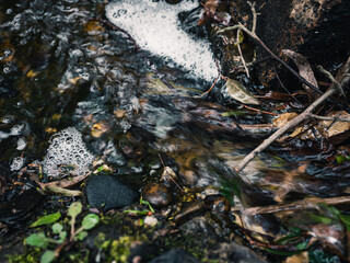 Stream of water