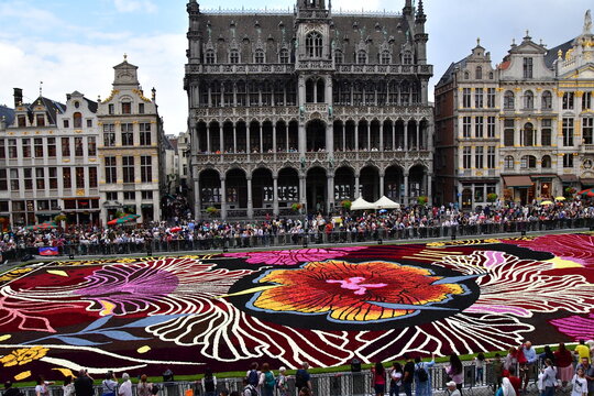 VISTAS DE BRUSELAS (B&Eacute;LGICA)
