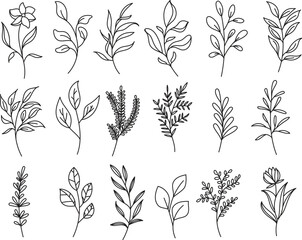 Minimalist Botanical Floral Line Art Clipart