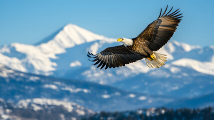 Obraz premium A majestic eagle soaring over a mountain range with a clear blue sky in the background.