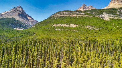 Aerial view of Icefields Parkway, Canada