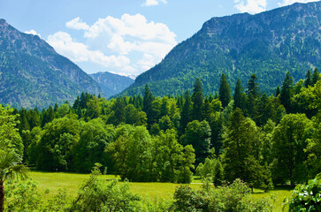 Mountainous landscape with green field and forest in the valley in summer in Bavaria in Germany.