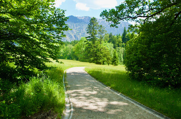 Mountainous landscape with a gravel road  in the green valley in summer in Bavaria in Germany.
