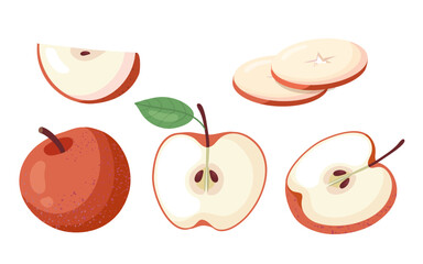 Red apples whole, half, slices and pieces. Organic sweet fruits