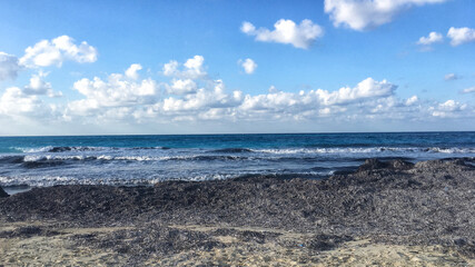 sea and beach