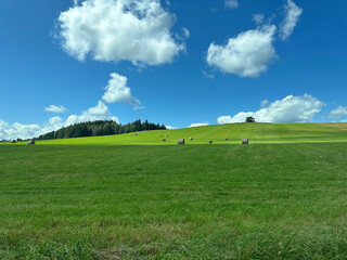 Rolling Green Hills with Hay Bales under Blue Sky