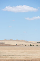 Fototapeta premium Steppe in Crimea, blue sky, clouds and yellow dry grass