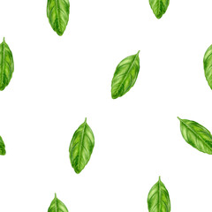 A Beautiful Fresh Green Basil Watercolor Leaves Seamless Pattern Background for Various Creative Uses and Decor