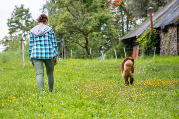 A woman in a plaid shirt walking with a brown dog across a grassy field, with yellow flowers...