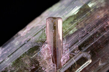 Bi-colored watermelon twin tourmaline detail. Micro photography extreme close-up. microscope...