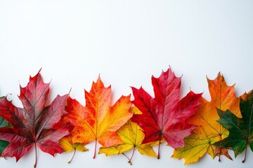 Fototapeta premium Autumn Maple Leaves Flat Lay White Background created with Generative AI