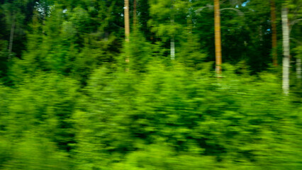 Fototapeta premium Green abstract nature background. Natural green blur trees. Energy Power high speed concept