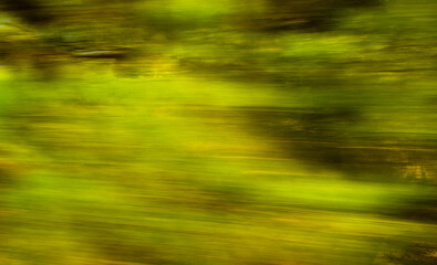 Green abstract nature background. Natural green blur trees. Energy Power high speed concept