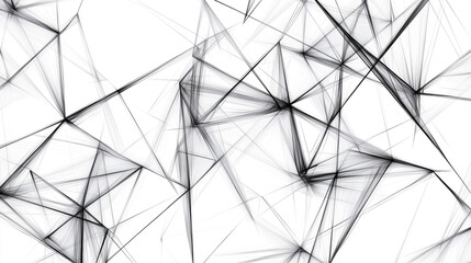 Obraz premium Abstract Black and White Geometric Lines, Minimalist Network Pattern on White Background