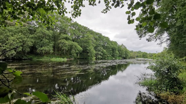 R&iacute;o Mi&ntilde;o a su paso por Outeiro de Rei, Galicia
