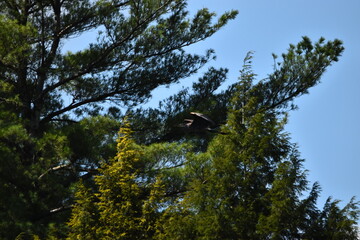 Marais Kingsbury 1 Septembre 2024