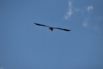 Marais Kingsbury 1 Septembre 2024