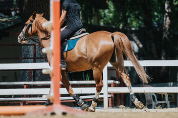 A person riding a brown horse in an outdoor equestrian arena with a white fence and natural...