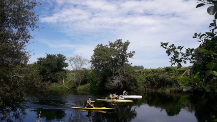 Piragüismo en el río Umia, Galicia