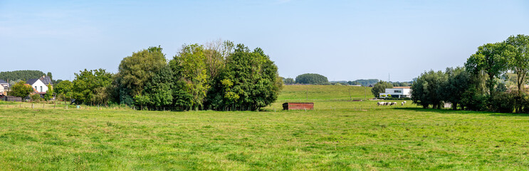 Green meadows and trees in the Pajottenland hills, Flemish Brabant