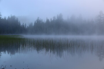 Fototapeta premium Mist-shrouded lake in a forest